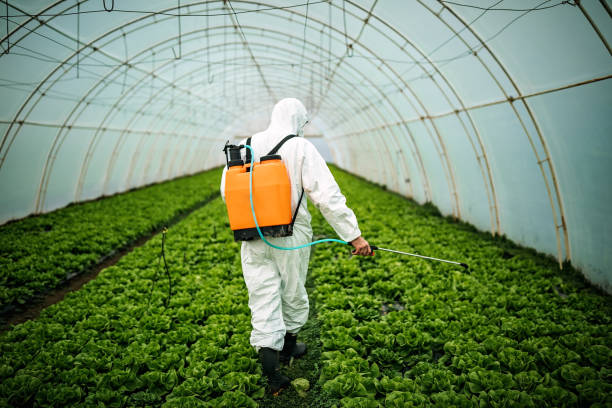 Professional Pest Control in Lake Katrine, NY