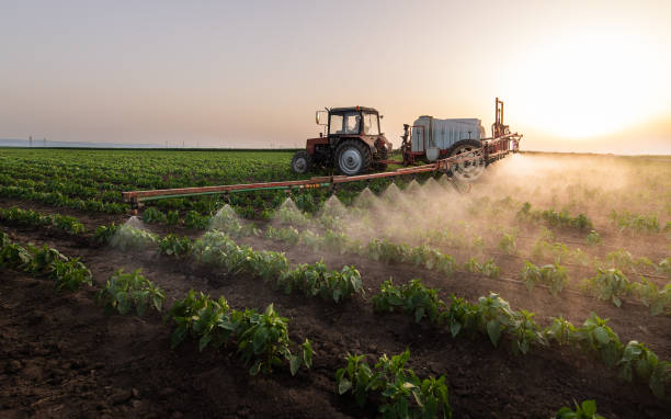 Best Commercial Pest Control Services  in Lake Katrine, NY
