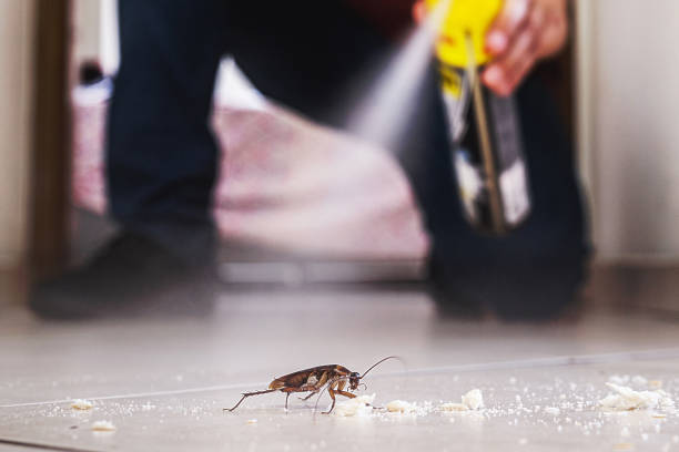 Best Local Pest Control Services  in Lake Katrine, NY