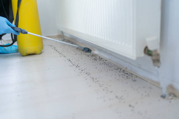 Best Wasp Removal Services  in Lake Katrine, NY